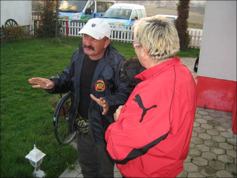 Bilje (1)